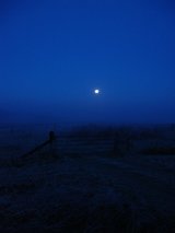 Beeldvergroting: '... de maan vrij en geheimzinnig boven de mistige weilanden...'
