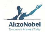 Beeldvergroting: Het nieuwe logo
                                van AkzoNobel